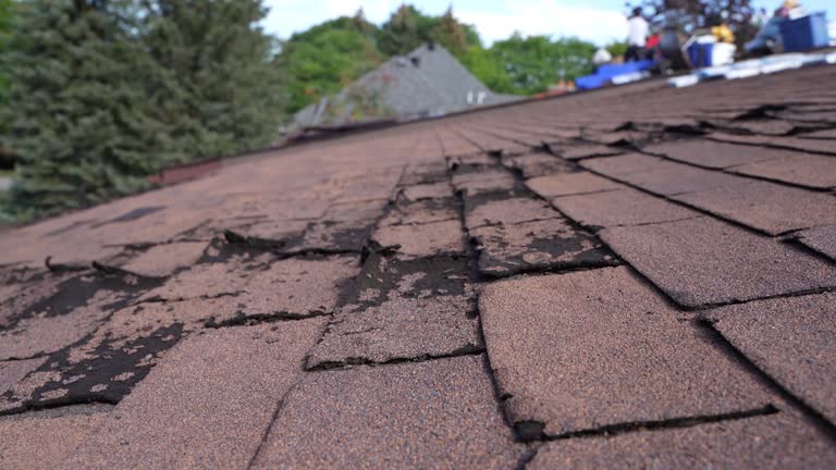Waterproofing in Rogers, TX